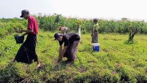 Pengalaman Mahasantri saat KKN