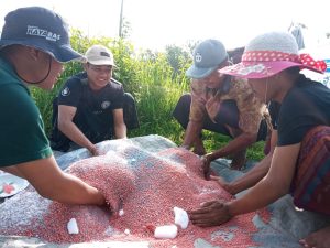 Pengalaman Mahasantri saat KKN